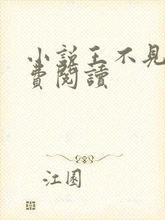 小说王不见王免费阅读封面