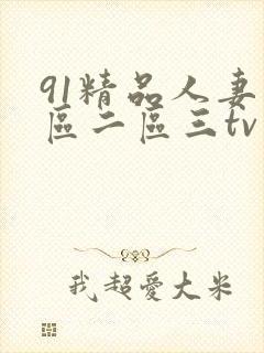 91精品人妻一区二区三tv
