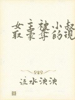 女主被小叔子强取豪夺的现言封面