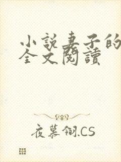 小说妻子的选择全文阅读封面