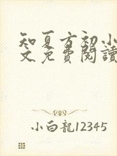 知夏方初小说全文免费阅读最新章节封面