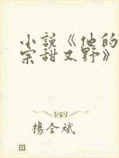 小说《他的小祖宗甜又野》