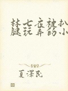 林七夜被扒开双腿玩弄的小说