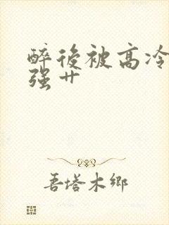 醉后被高冷哥哥强艹