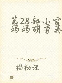 第28部小雷娶妈妈胡秀英小说封面