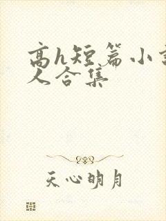 高h短篇小说多人合集