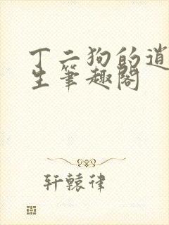 丁二狗的逍遥人生笔趣阁封面