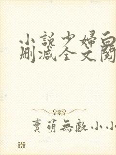 小说少妇白洁无删减全文阅读