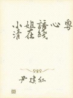 小姐诱心粤语高清在线封面