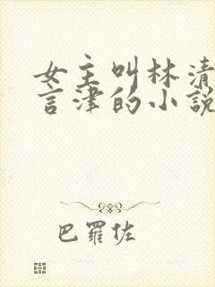 女主叫林清妍宋言津的小说免费阅读封面