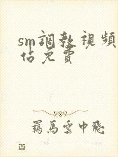sm调教视频网站免费