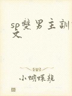 sp双男主训诫文