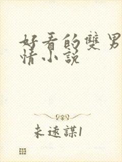 好看的双男主言情小说