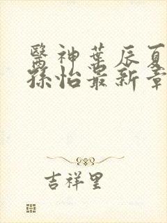 医神叶辰夏若雪孙怡最新章节