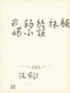 我的丝袜骚货妈妈小说