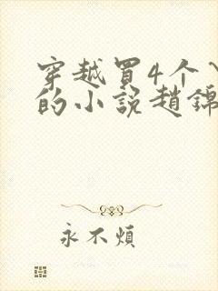 穿越买4个丫鬟的小说赵锦衣