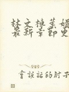 林文栋叶媚小说最新章节更新免费阅读封面