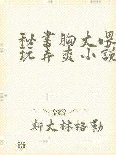 秘书胸大喂奶h玩弄爽小说