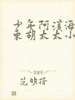 少年阿滨海和房东胡太太小说免费观看