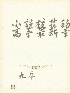 小说校花的贴身高手最新章节在线