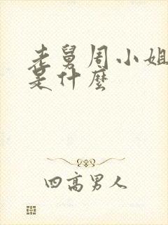 老舅周小姐结局是什么