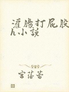 灌肠打屁股调教h小说