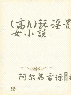 (高h)玩淫贵女小说