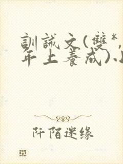 训诫文(双*,年上养成)小说