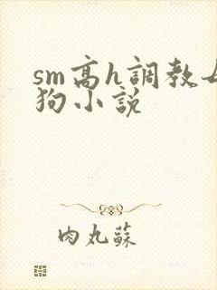 sm高h调教母狗小说