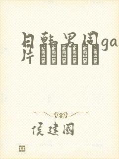 日韩男同gay片あなたはワン封面