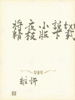 将夜小说txt精校版下载封面