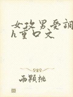 女攻男受调教高h重口文