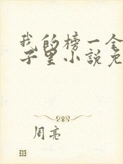 我的榜一全在局子里小说免费阅读