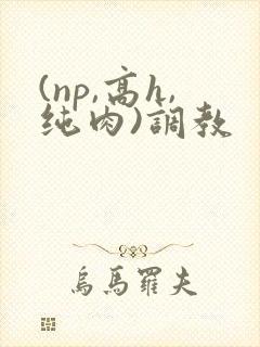 (np,高h,纯肉)调教