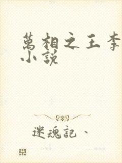 万相之王李洛的小说