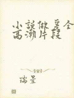 小说做爰全细节高潮片段