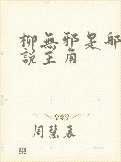 柳无邪是哪部小说主角封面