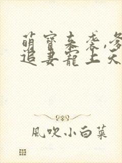 萌宝来袭,爹地追妻宠上天封面