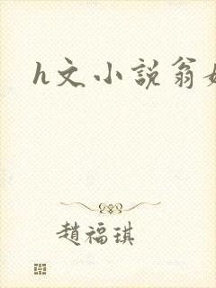 h文小说翁媳封面