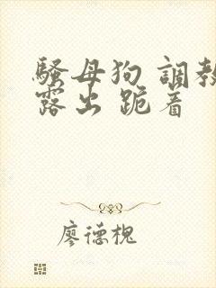 骚母狗 调教 露出 跪着封面