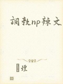 调教np辣文