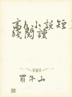 高h小说短篇在线阅读