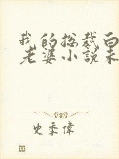 我的总裁白富美老婆小说未删减在线看