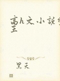 高h文小说双男主封面