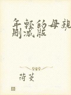 年轻的母亲2无删减版封面