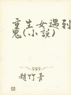 重生女遇到吸血鬼(小说)