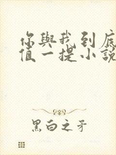 你与我到底是不值一提小说免费阅读封面