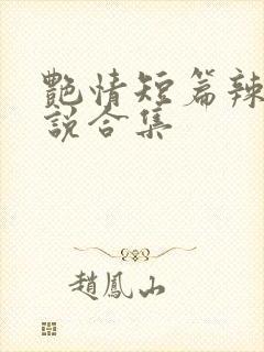 艳情短篇辣文小说合集