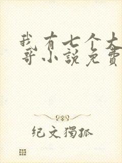 我有七个大佬哥哥小说免费下载