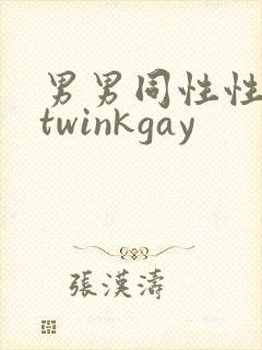 男男同性性行为twinkgay